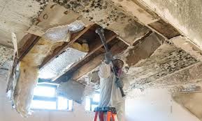 Enochville, NC Mold Remediation Company